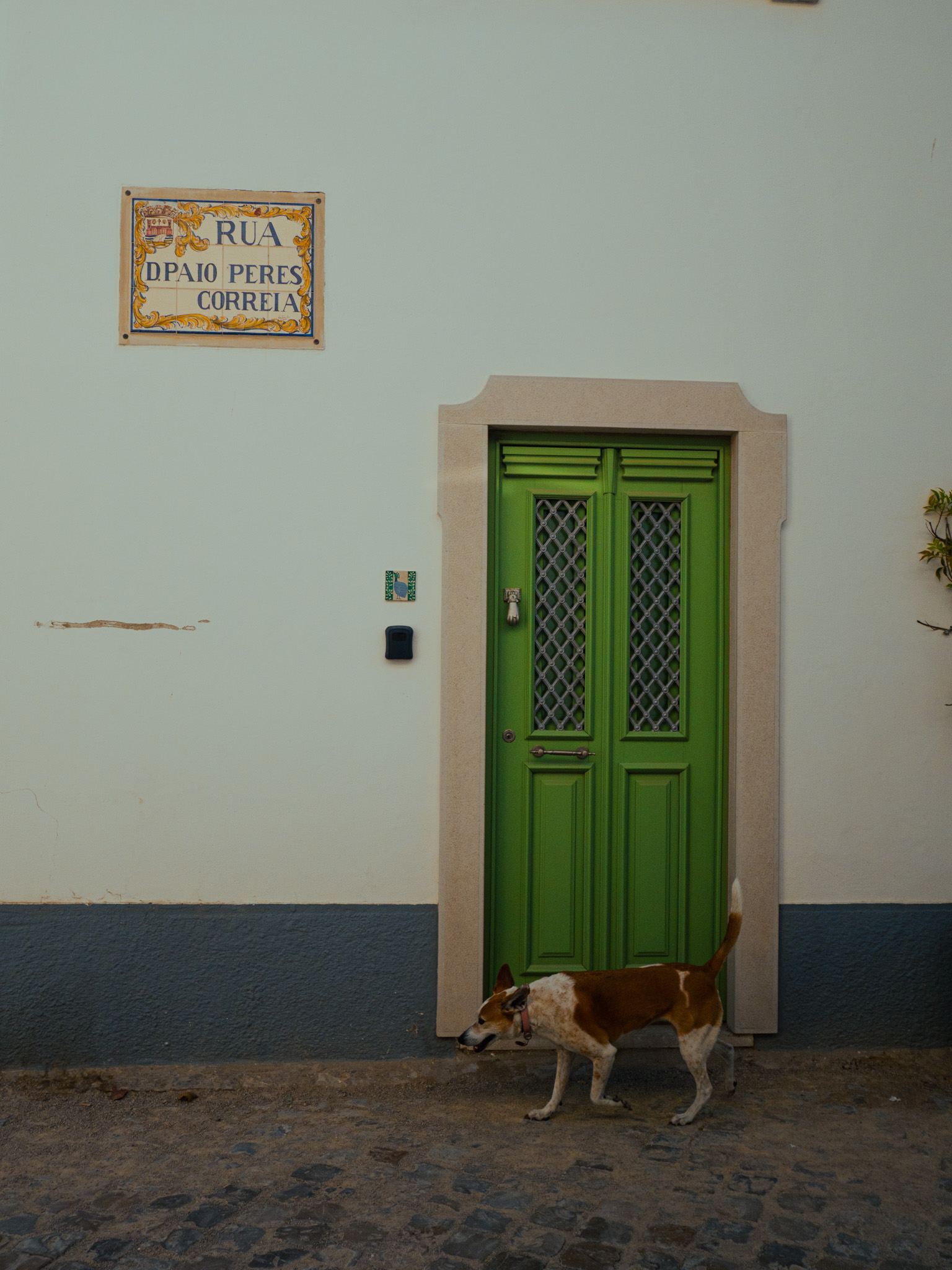 Tavira's whitewashed houses and church towers
