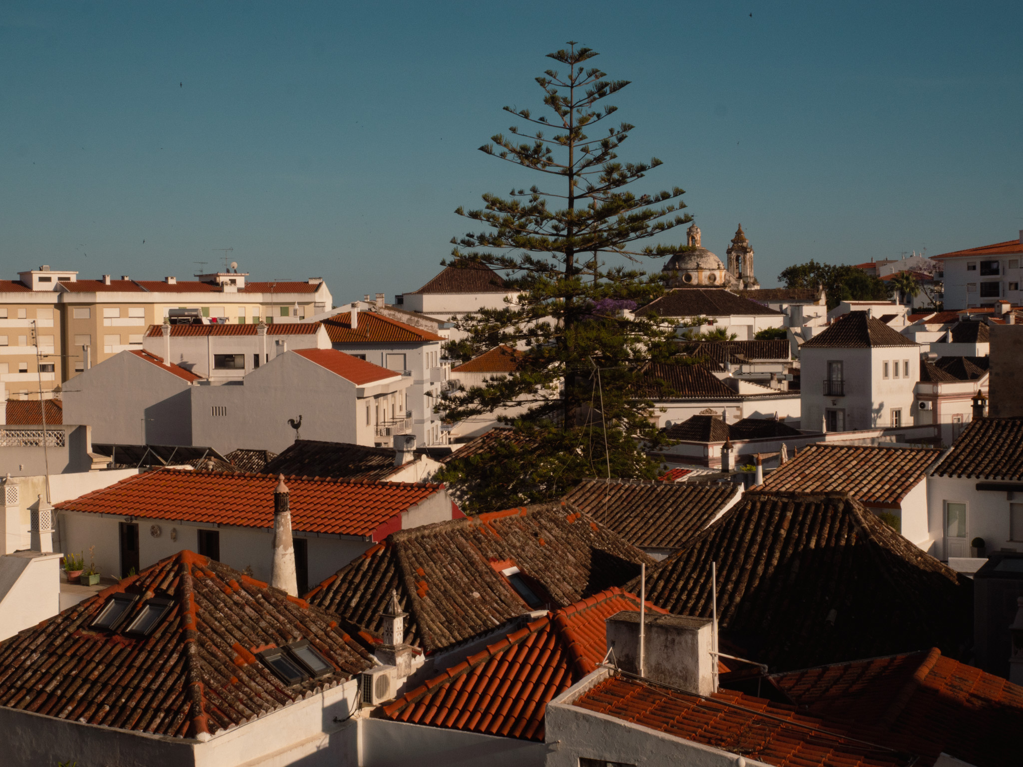 The view over Tavira's rooftops from the castle battlements