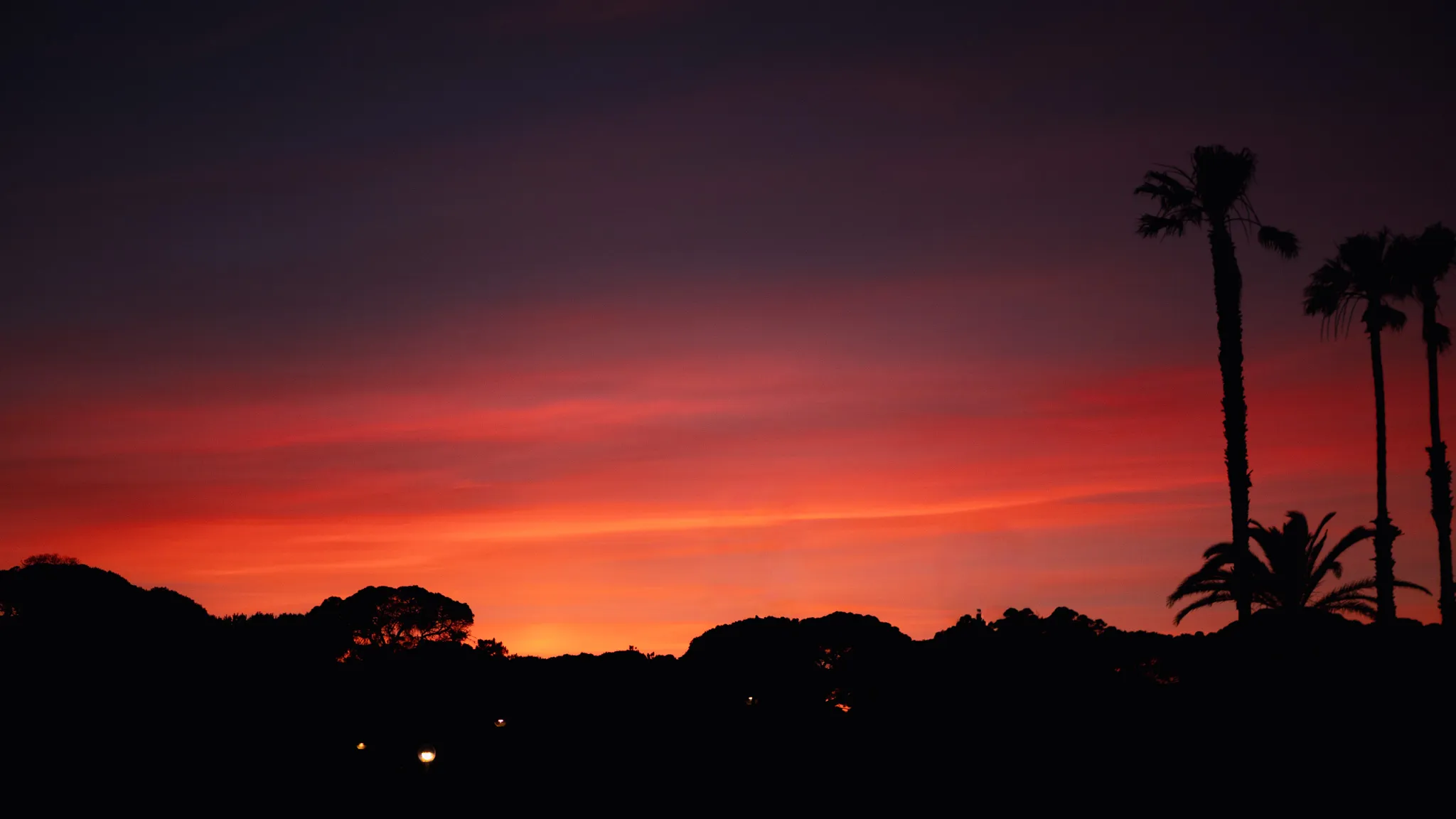 Arriving in Portugal on a June morning