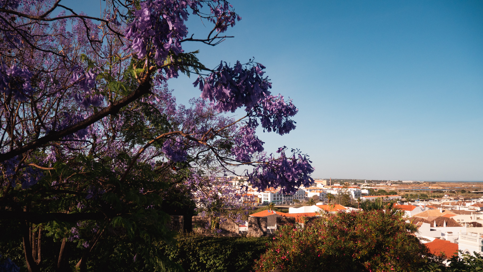 Terracotta rooftops of Tavira from the castle walls
