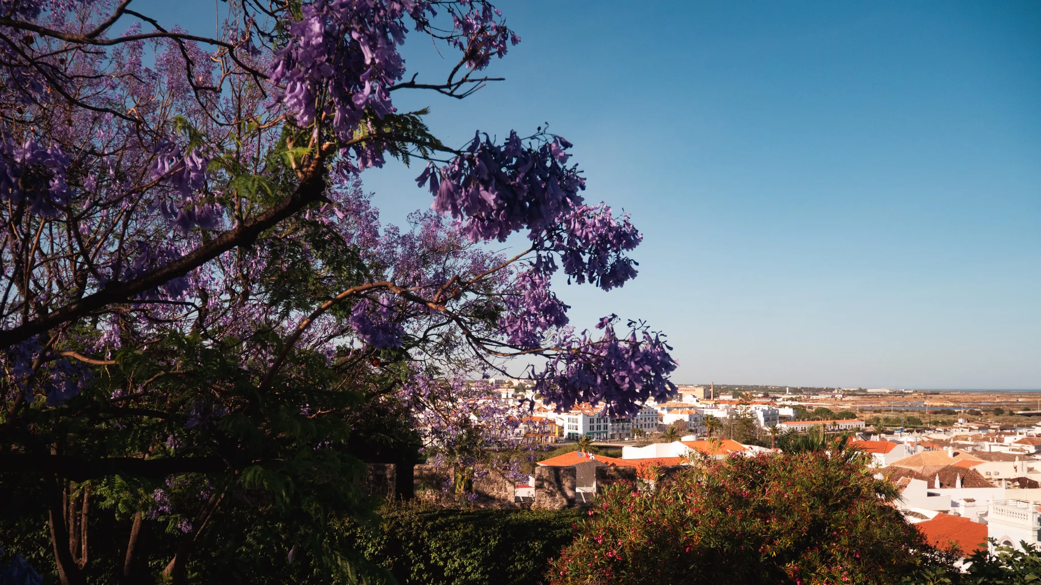 Rooftops of Tavira seen from the castle walls