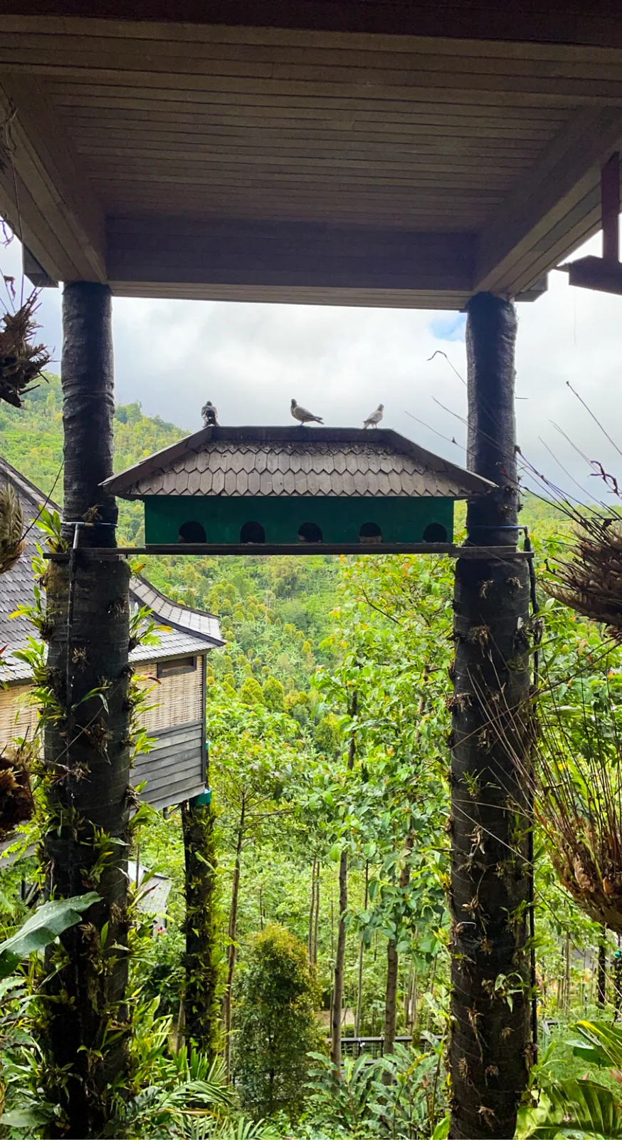 A bird house with doves framed by pavilion posts, green valley behind