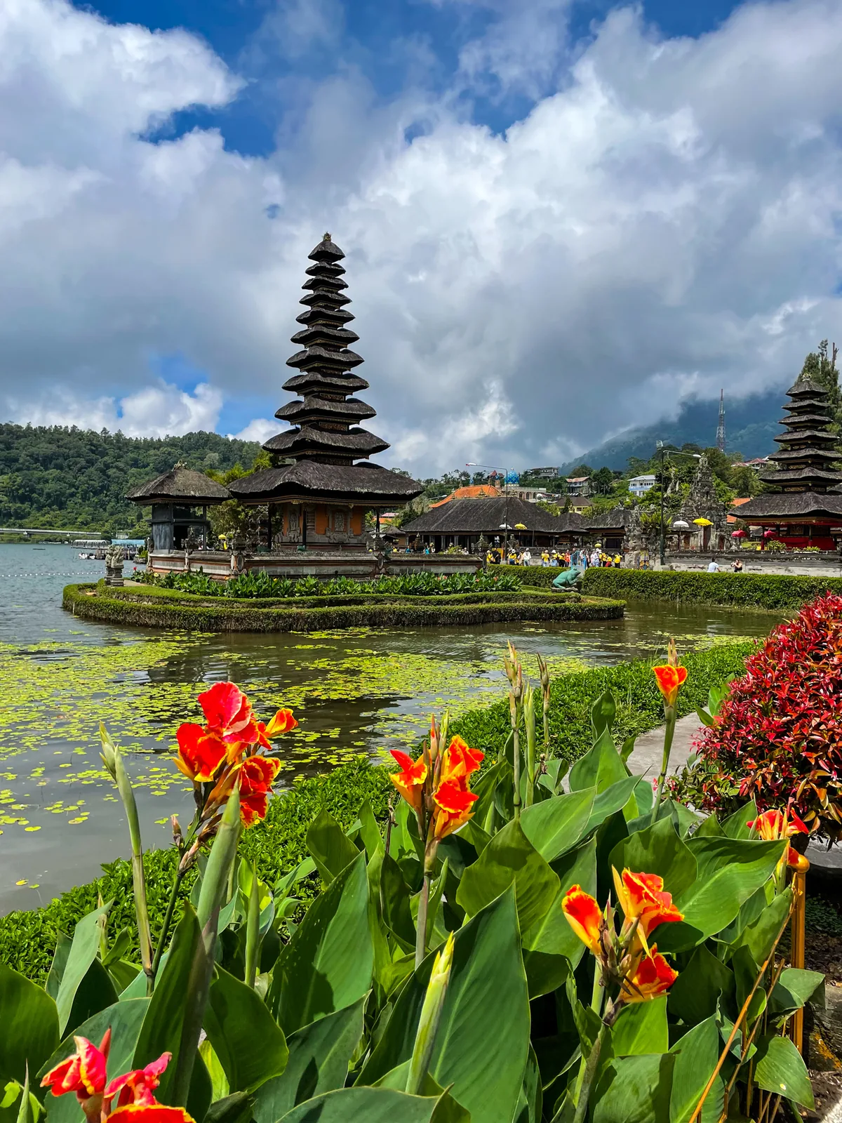 Ulun Danu Beratan from the lakeside, red canna flowers in front