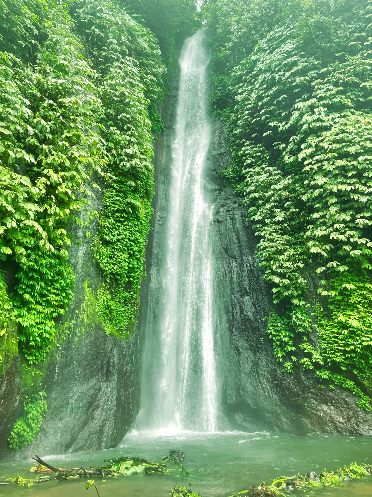 A tall single waterfall dropping down a moss-covered gorge into a green pool