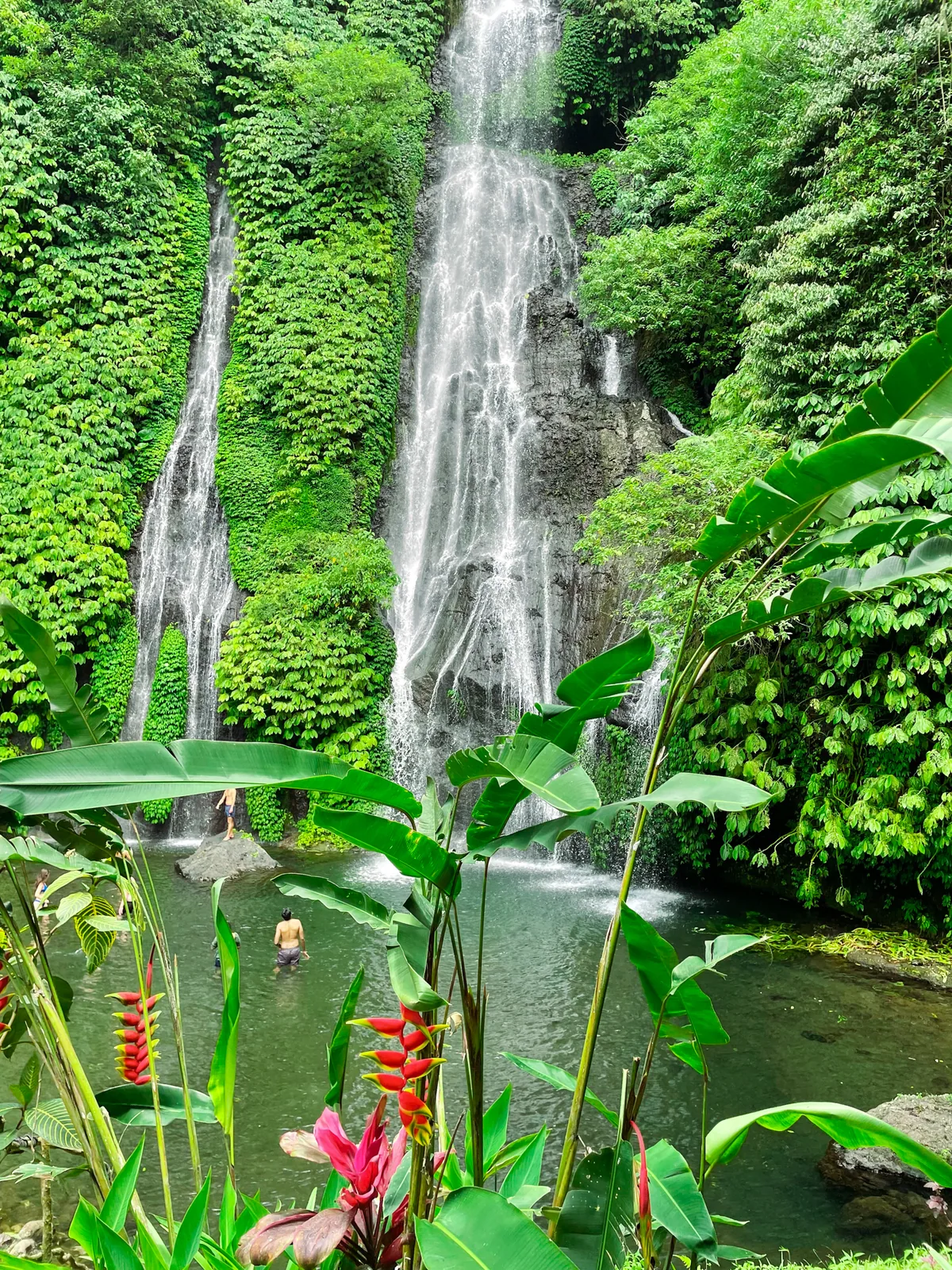 Munduk Waterfall pouring into a jungle pool, a swimmer below and heliconia in front