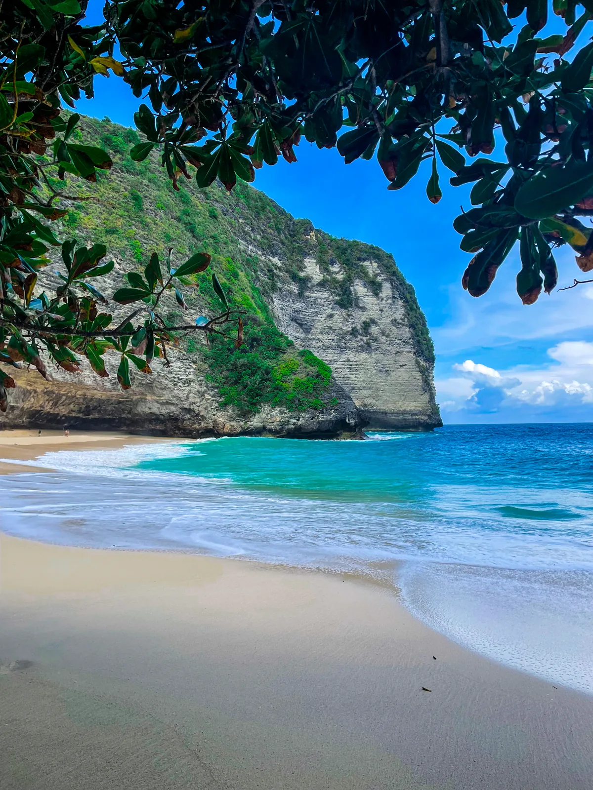 Kelingking Beach from the sand: white sand below a sheer green cliff, framed by leaves