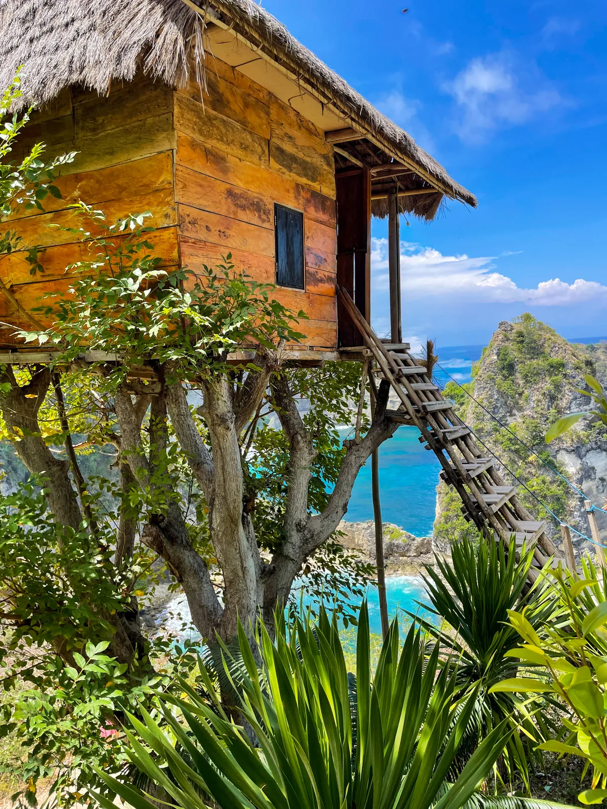 A thatched wooden treehouse on stilts above the Nusa Penida coast
