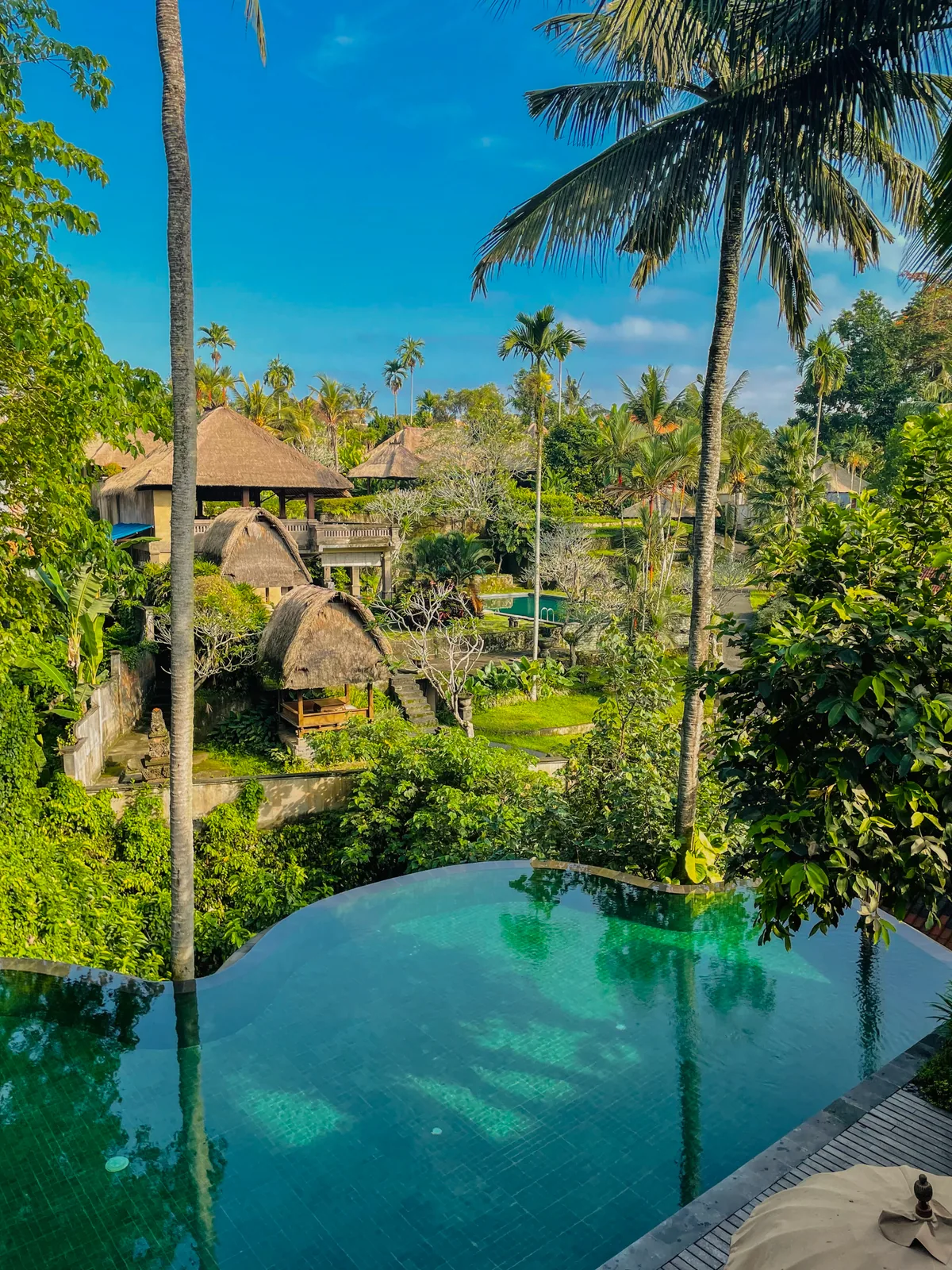 The same pool looking out to thatched villas and jungle