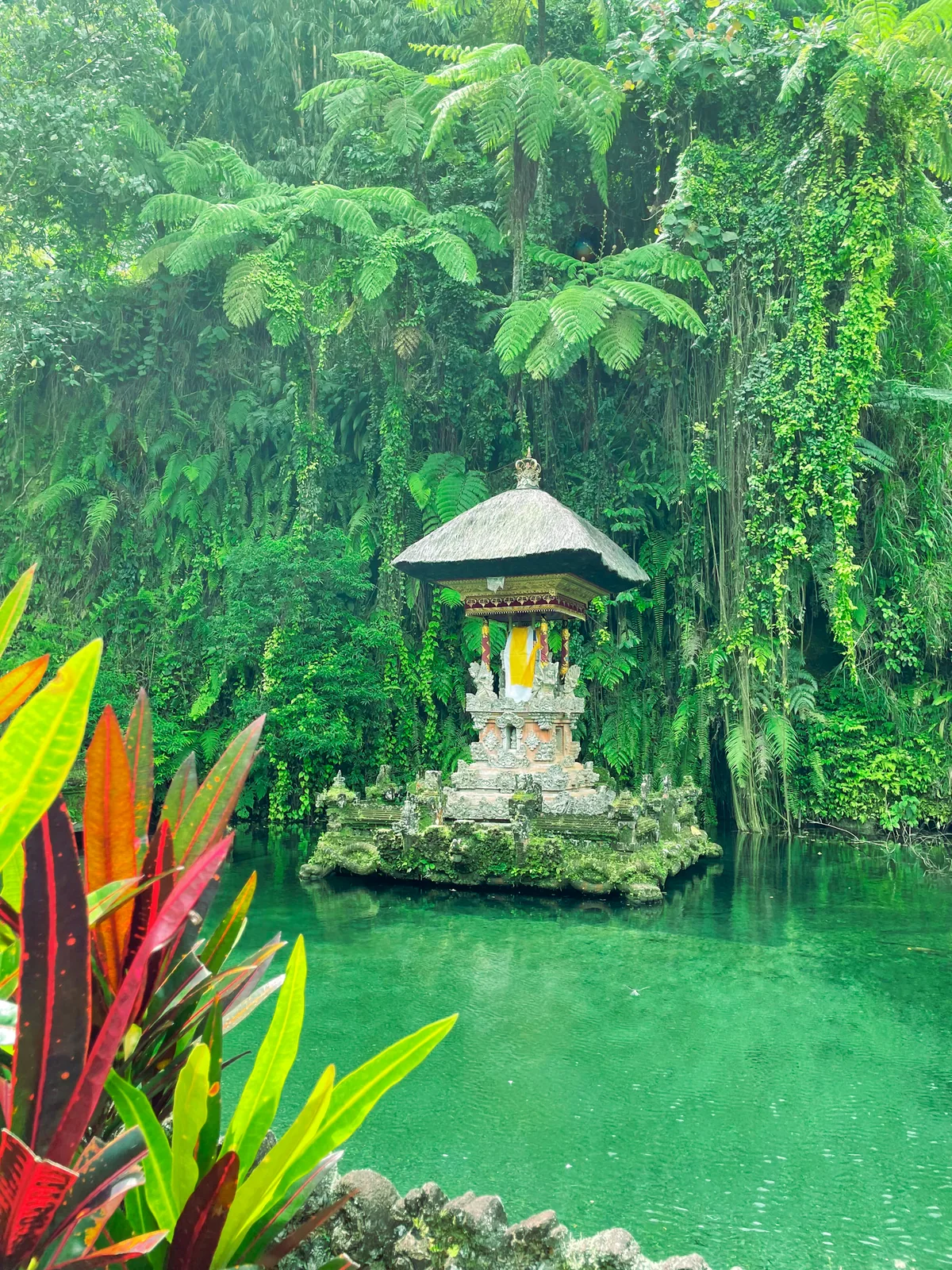 A small shrine on an island in the green spring pool at Tirta Empul, jungle wall behind