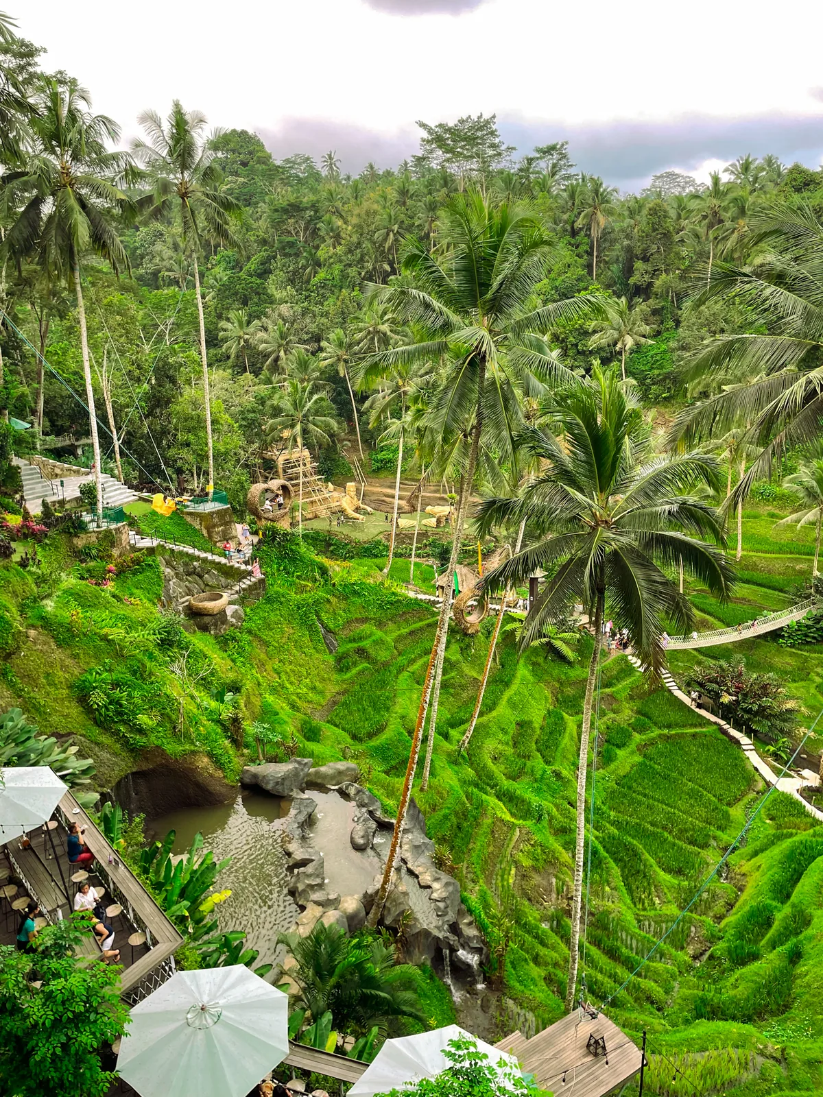 Tegallalang rice terraces from above, with palms and cafe umbrellas