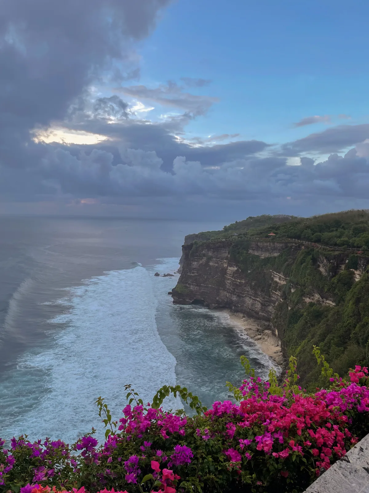 Uluwatu's sea cliffs and white surf from above, pink bougainvillea in the foreground