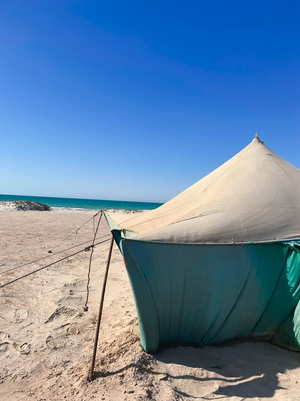 A canvas tent with a beige roof and teal walls pitched on the sand with guy ropes, turquoise sea and a small dune behind