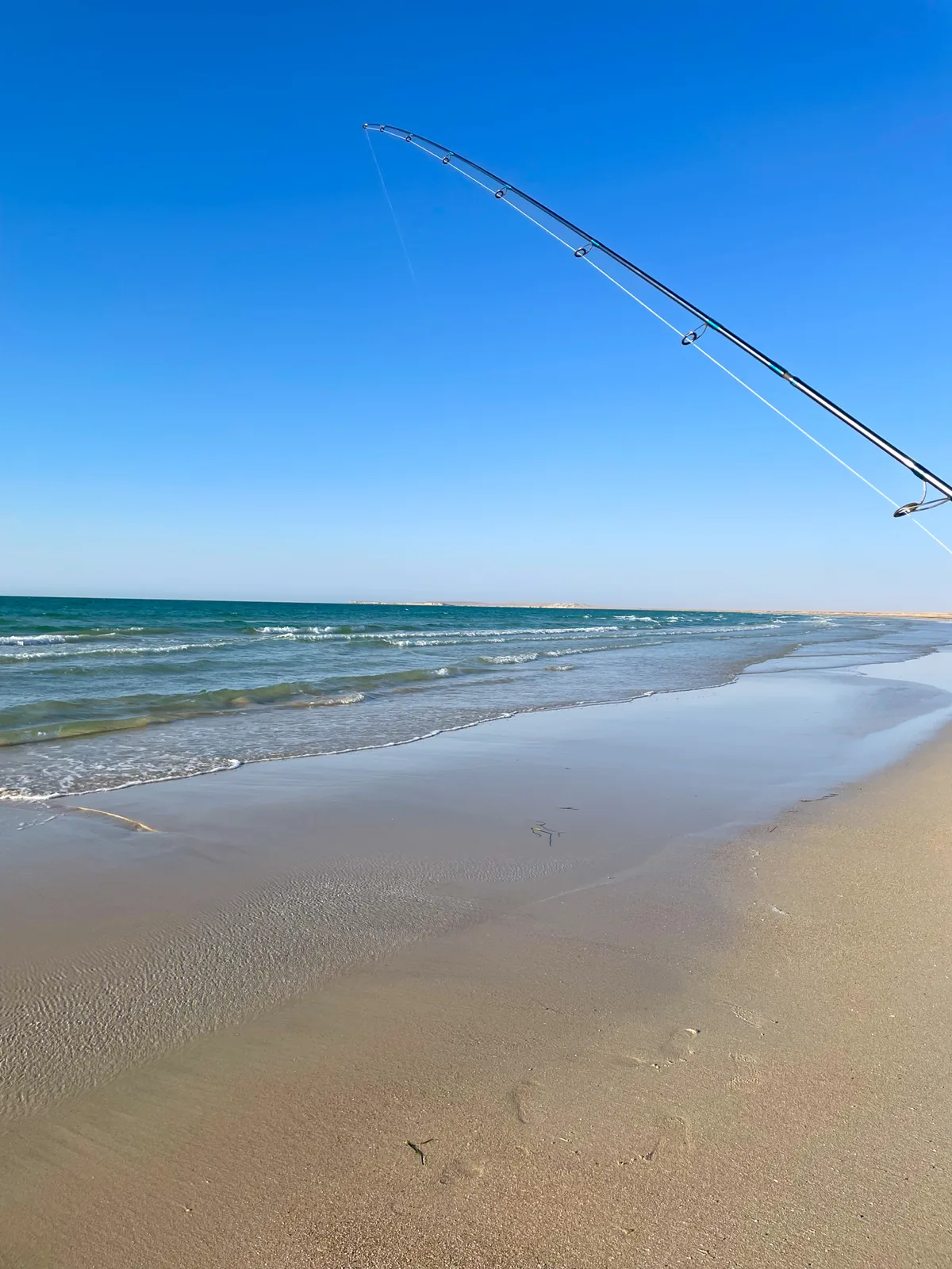 A fishing rod bent over the beach with the line running out to sea, waves and a long shoreline under a clear blue sky