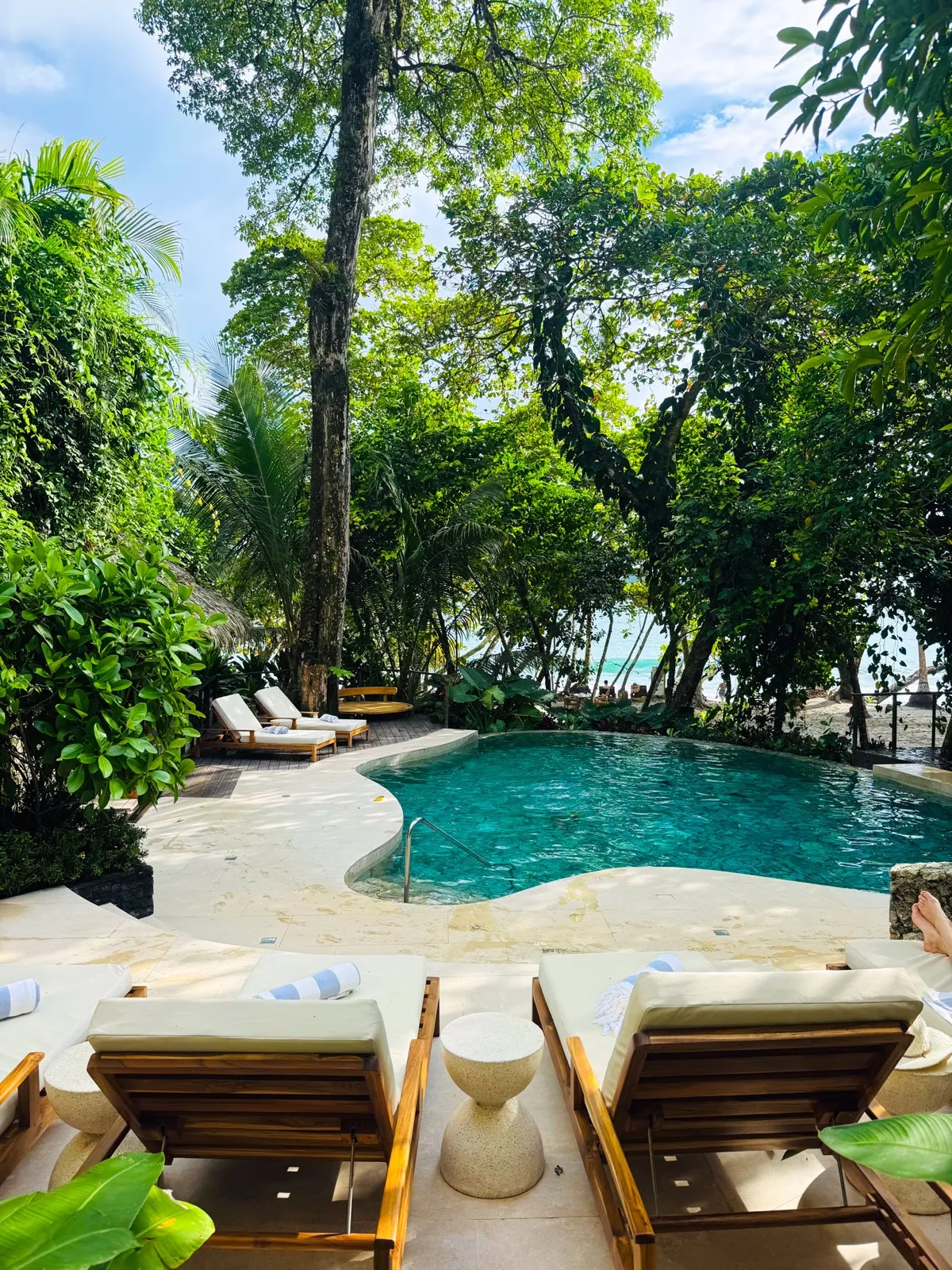 Almost-private beach at Arenas Del Mar, with a sloth, monkeys and iguanas near Manuel Antonio