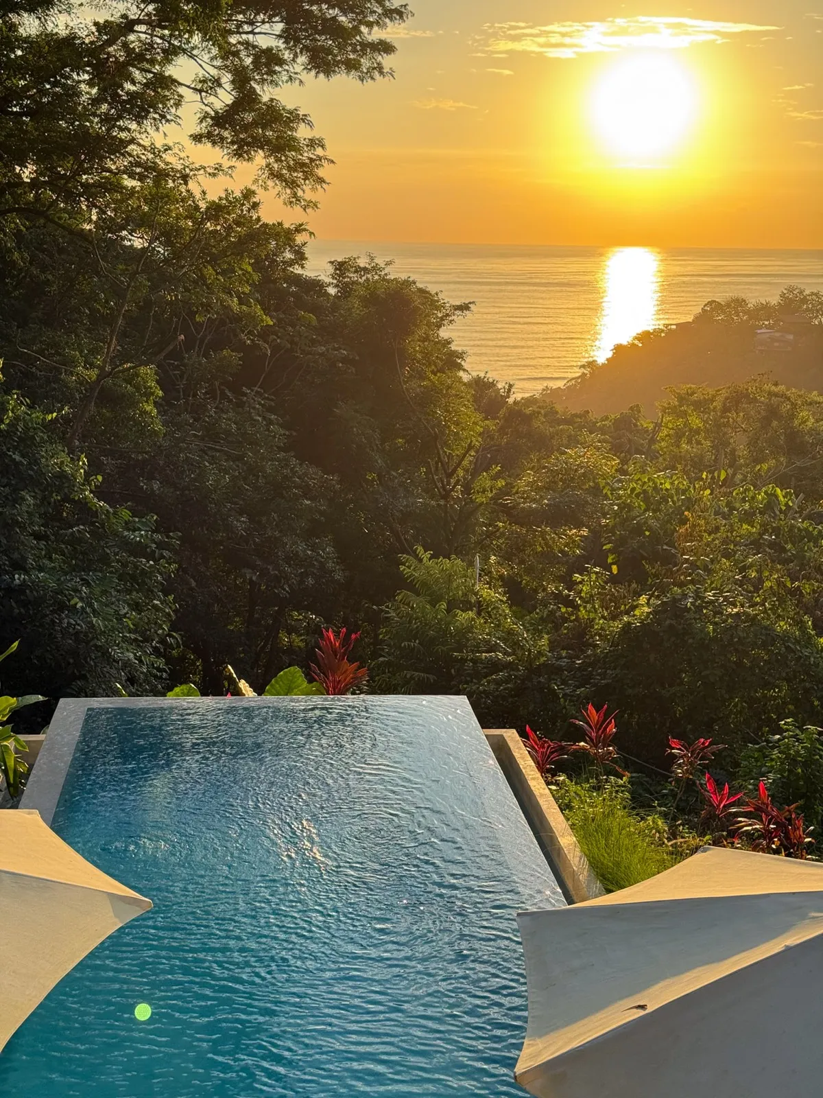 Casa Mirame infinity pool overlooking the jungle