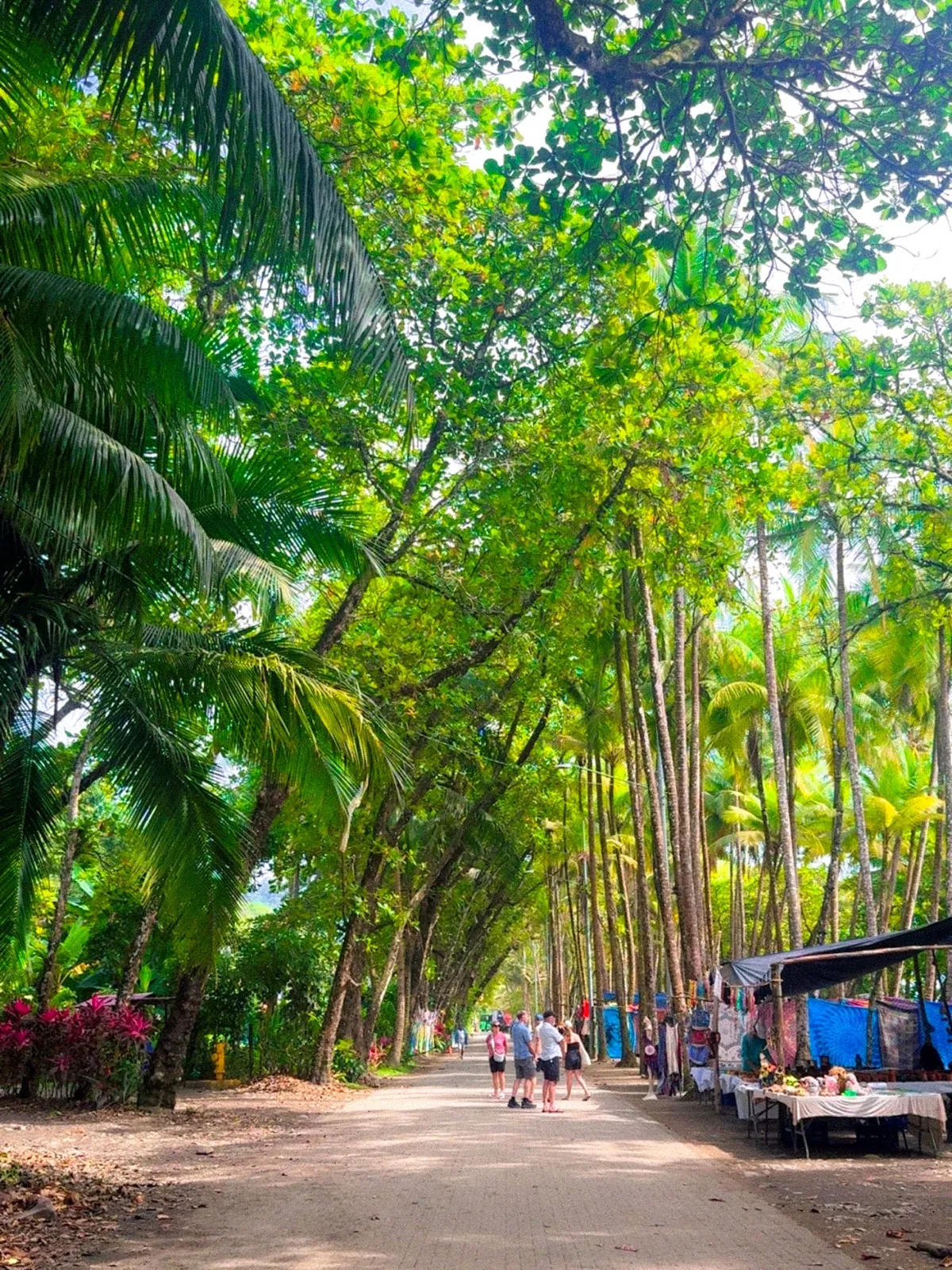 Dominical surf town and the Nauyaca Waterfalls