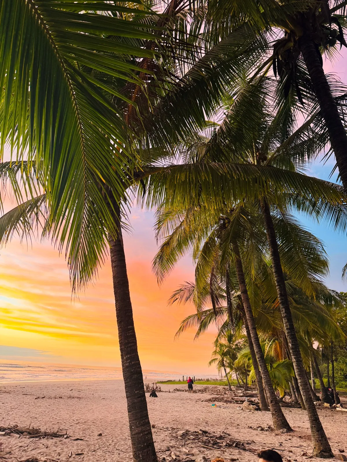 Santa Teresa beach at the tip of the Nicoya Peninsula