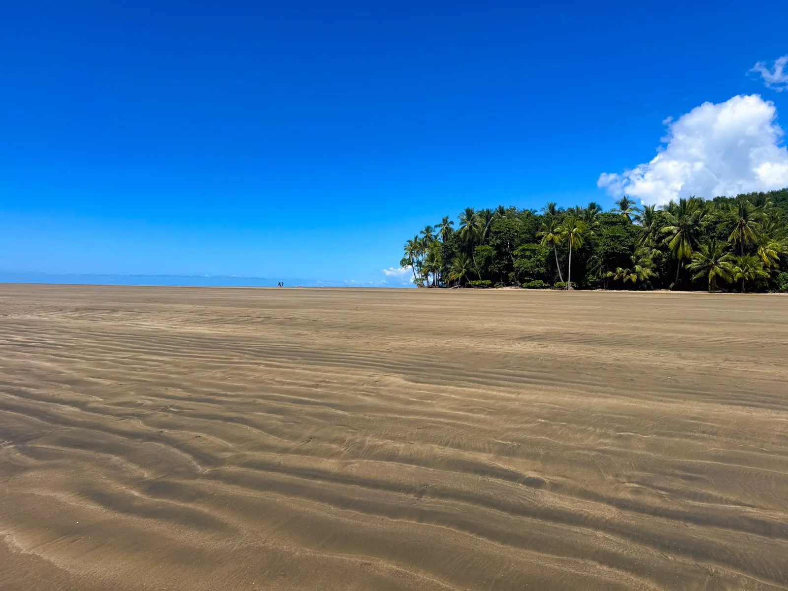 Whale Tail sandbar at Marino Ballena National Park in Uvita