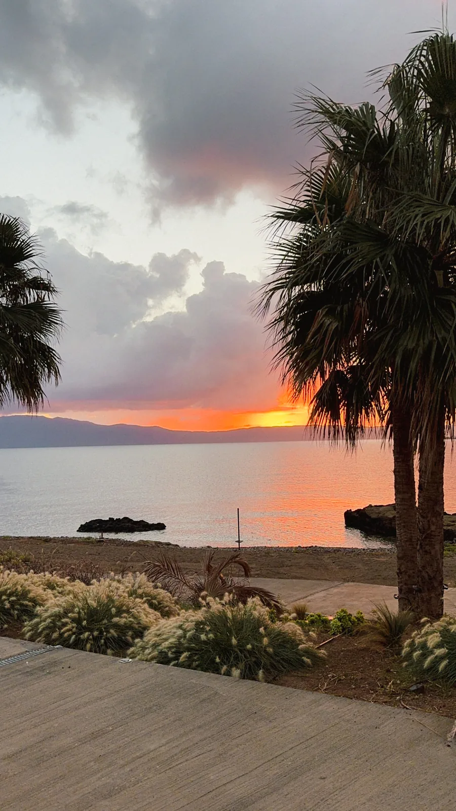Sunrise over Kissamos bay from the hotel in Kaliviani, palms and rocks in the water under an orange sky