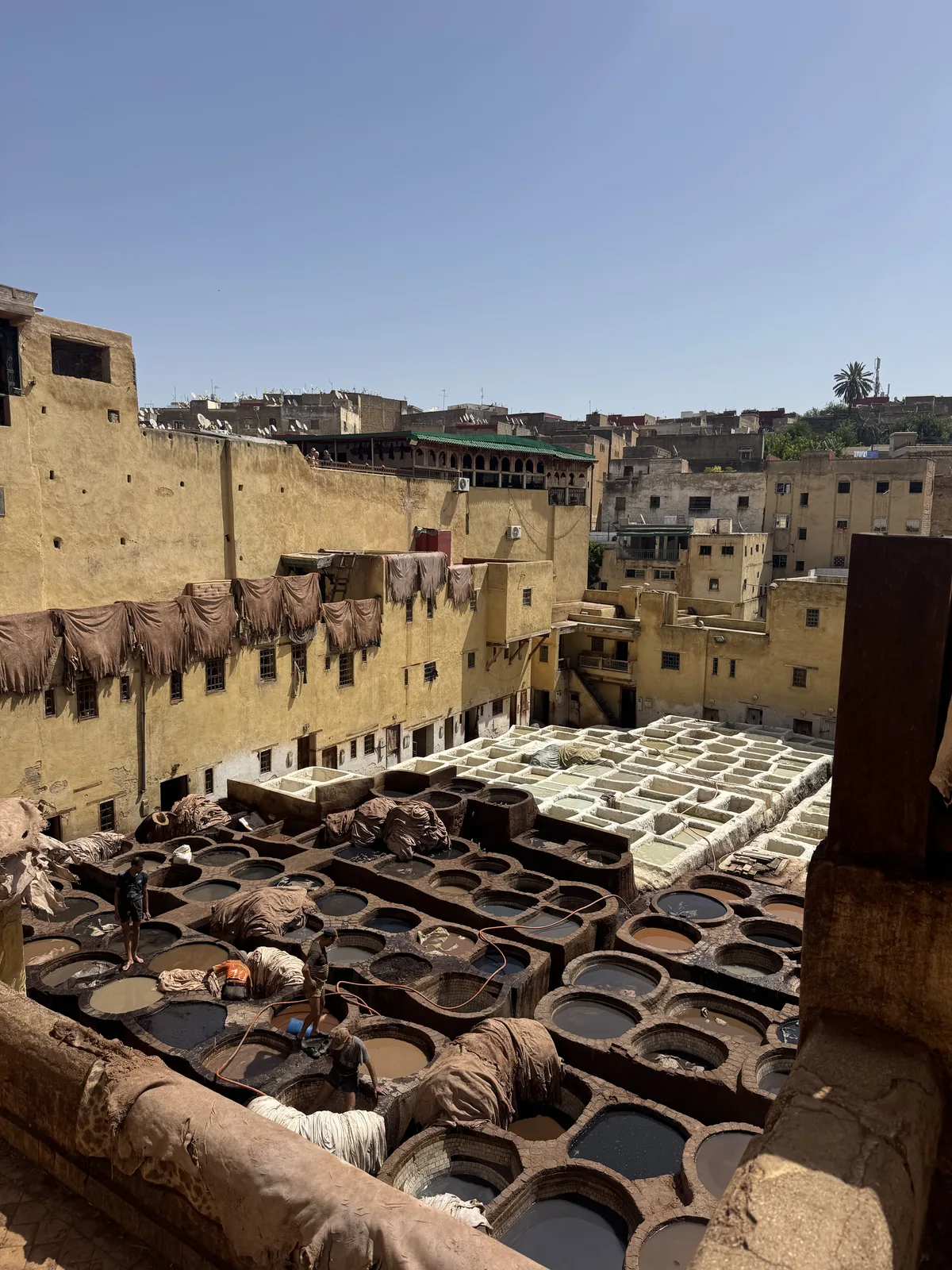 The Chouara tanneries of Fes, a honeycomb of stone dye pits seen from a leather terrace