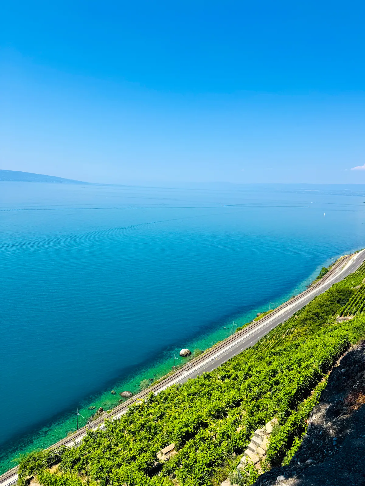 A steep look down the vine slope to the lakeshore road and railway, the shallows turning from turquoise to deep blue