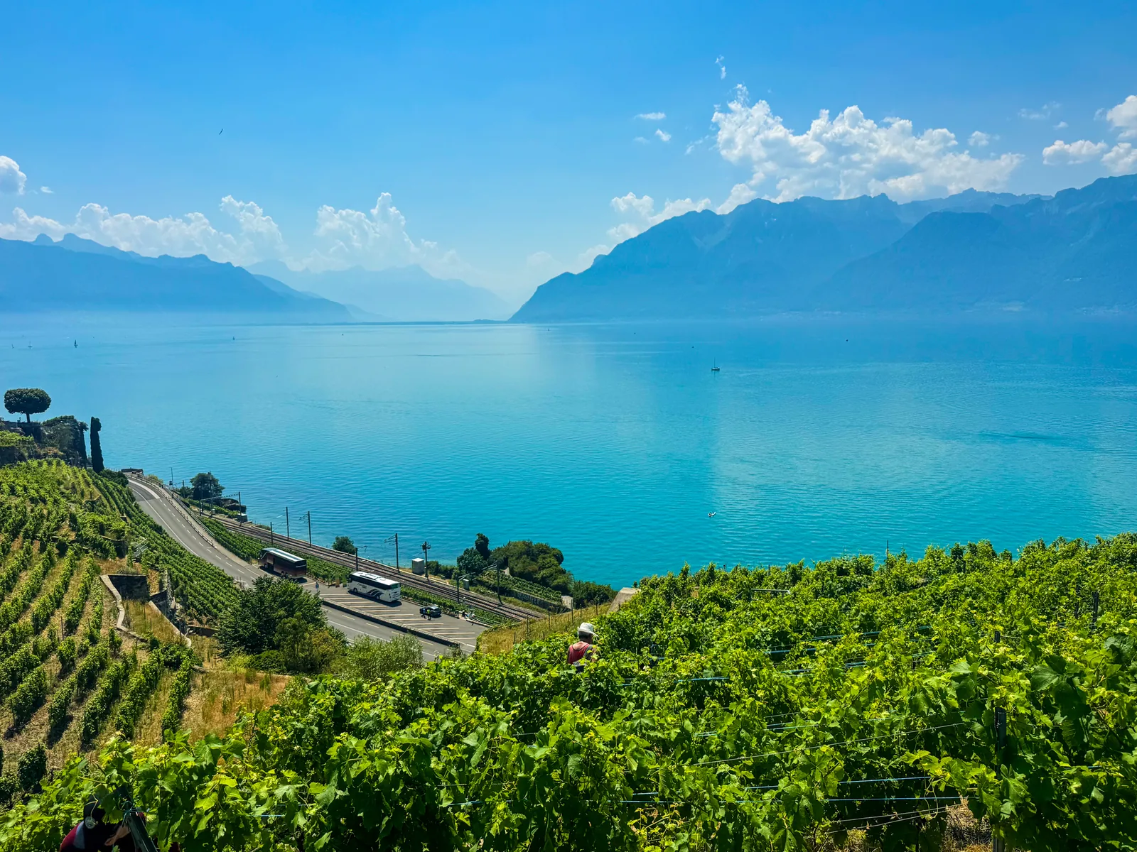 Vine terraces running down to turquoise Lake Geneva, the lakeside road and railway along the shore, mountains on both sides of the lake