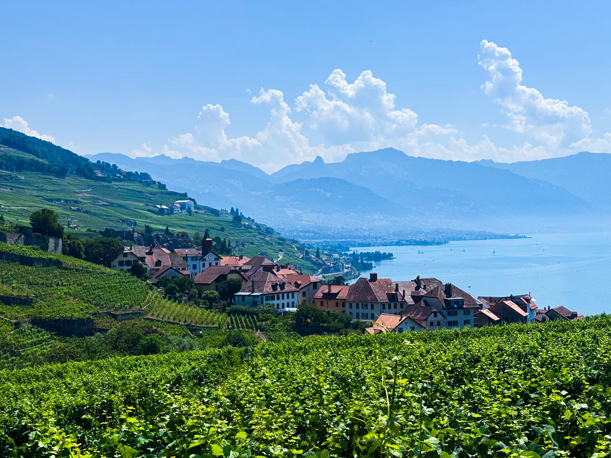 A lakeside village below the Lavaux vineyard terraces, with Lake Geneva and the Alps behind