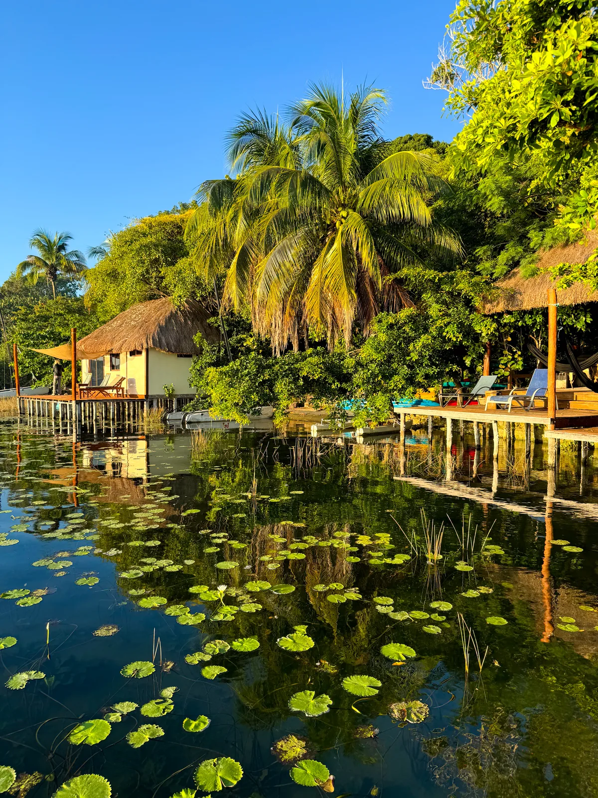 Thatched palapas and stilt docks along the Bacalar shore, lily pads in front