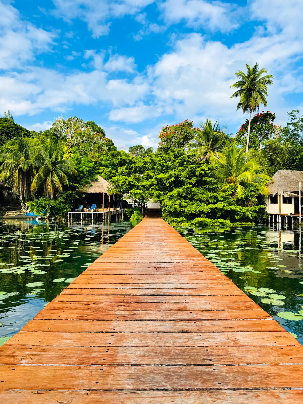 A wooden dock leading back to shore over lily pads, palms and stilt cabins on the Bacalar lagoon