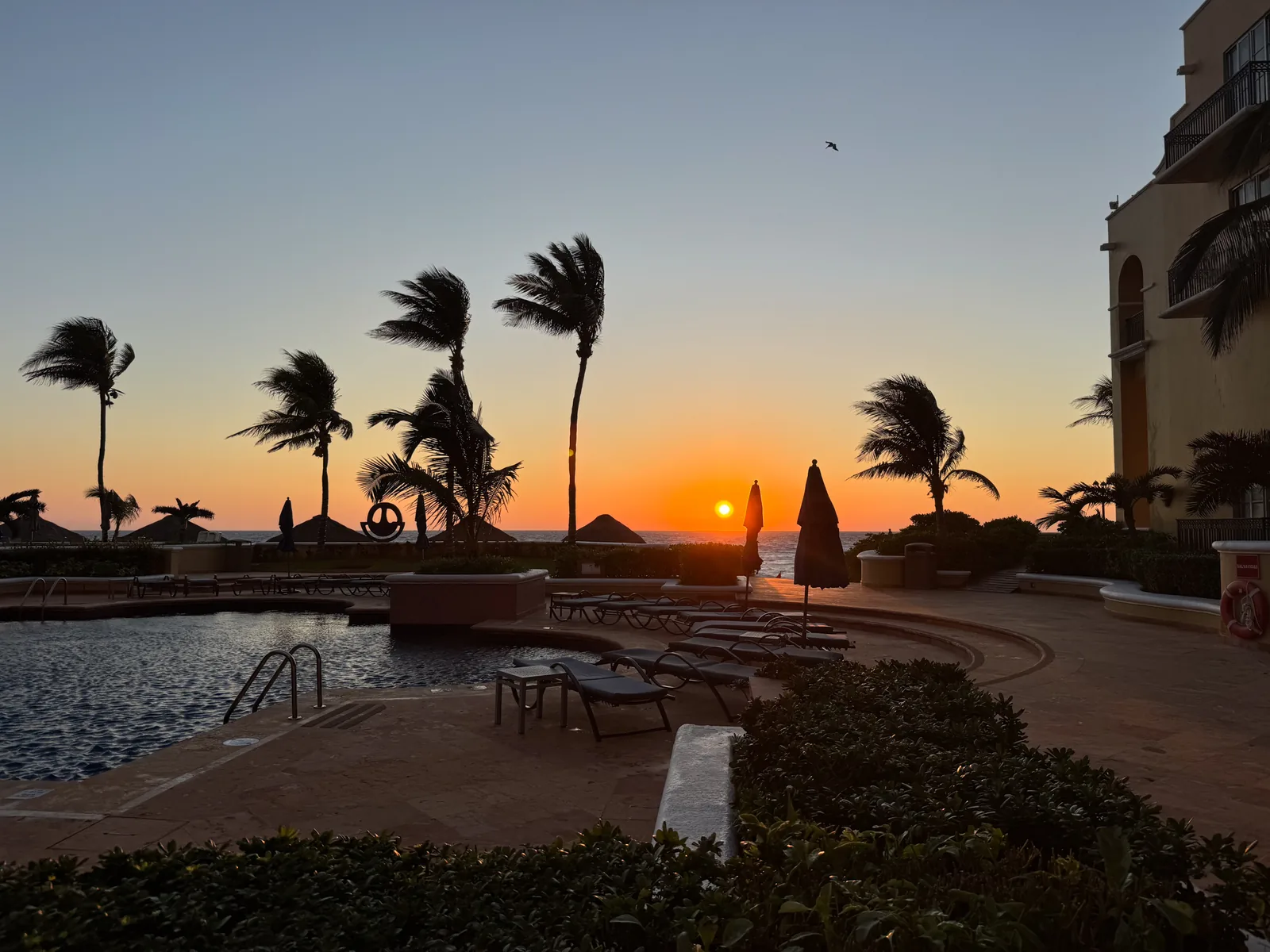 Palm silhouettes and the pool terrace of the Kempinski Cancún at sunrise
