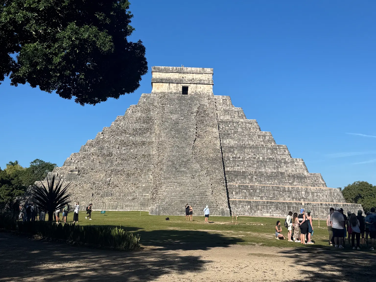 El Castillo, the great pyramid of Chichén Itzá, under a deep blue sky with a tree framing it