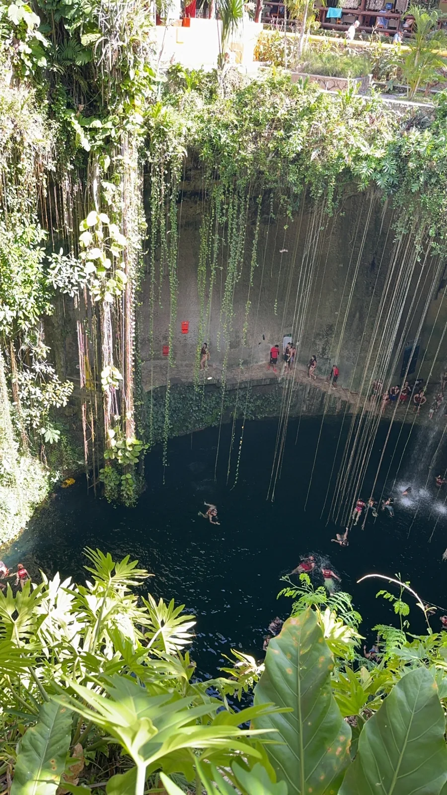 Looking down into the round Cenote Ik Kil, hanging vines above swimmers on the dark water