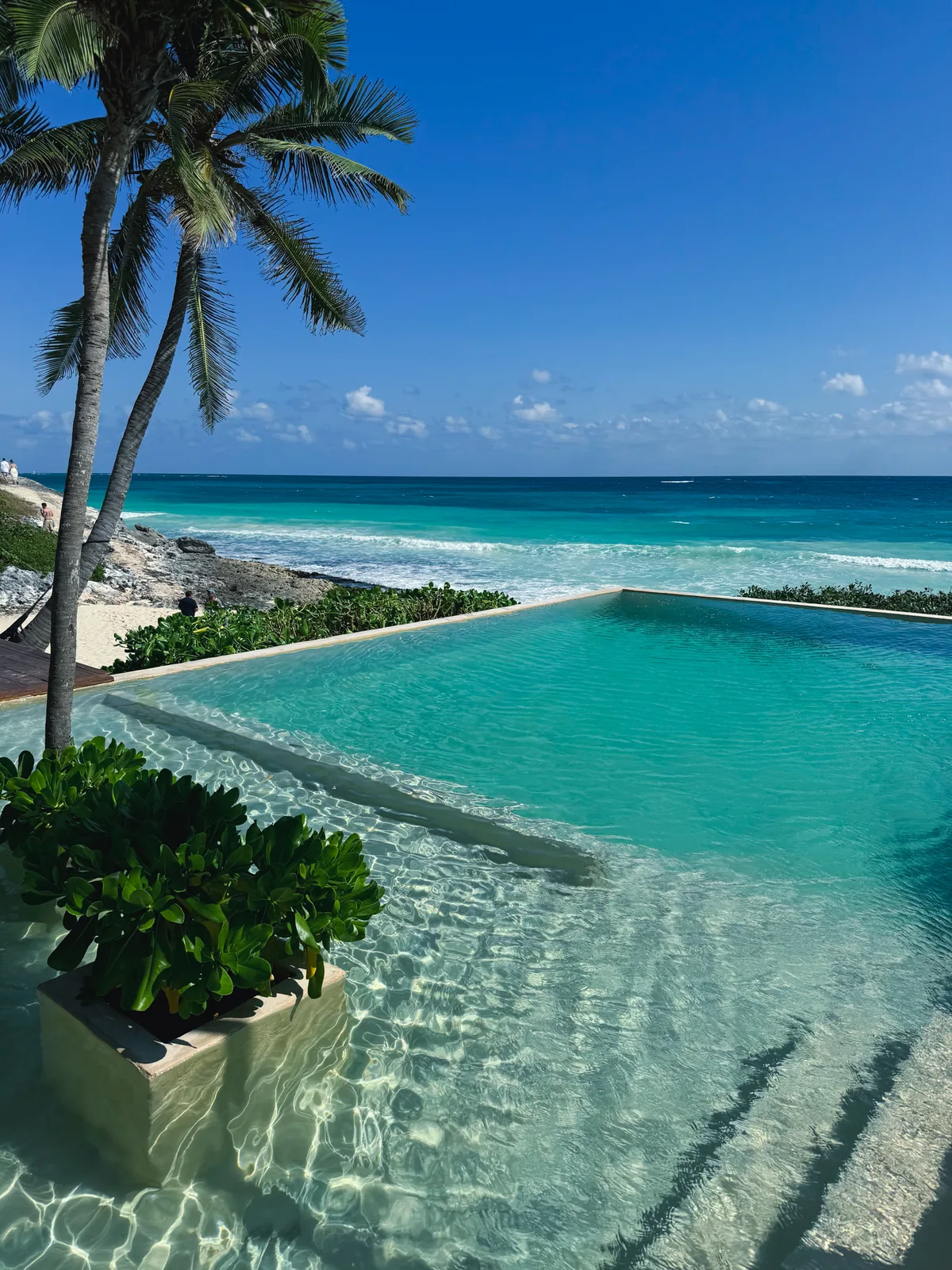 The infinity pool at Our Habitas Tulum running into a turquoise sea, framed by palms