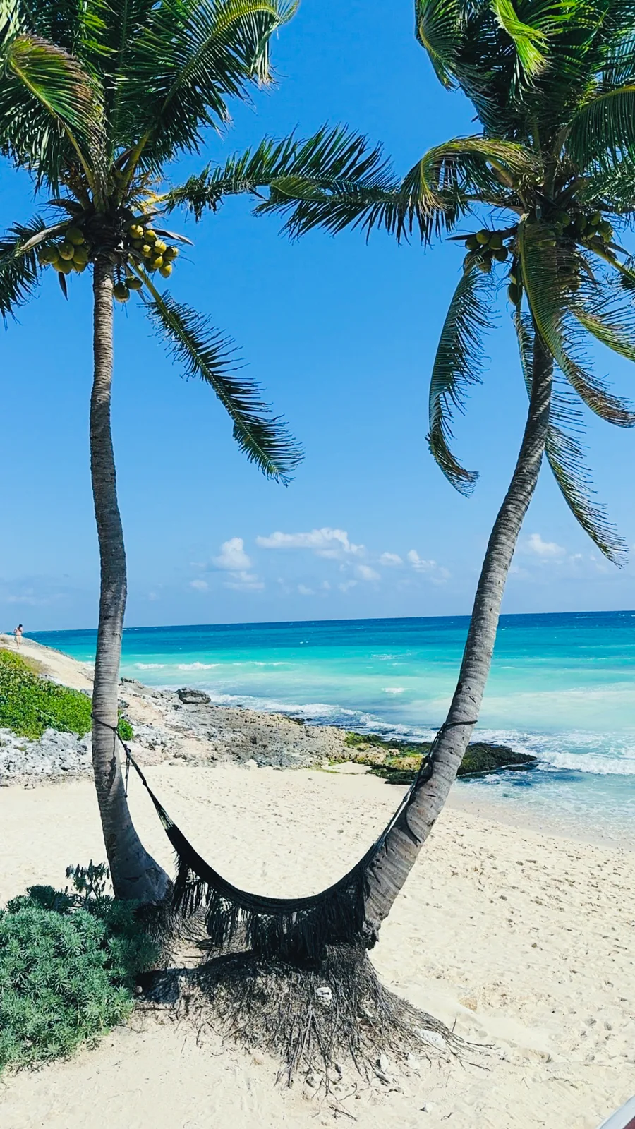 Two palms with a hammock strung between them on the beach, turquoise water behind