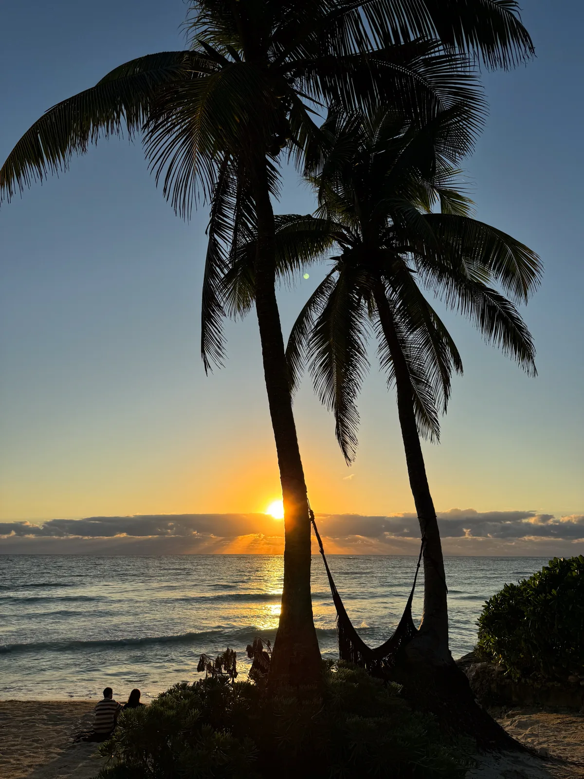 Sunrise over the Caribbean through two palm silhouettes and a hammock at Our Habitas