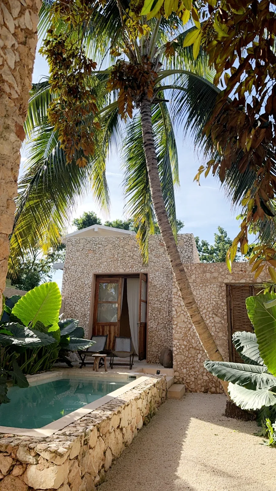 A stone cottage and plunge pool under a leaning palm at our Valladolid Airbnb