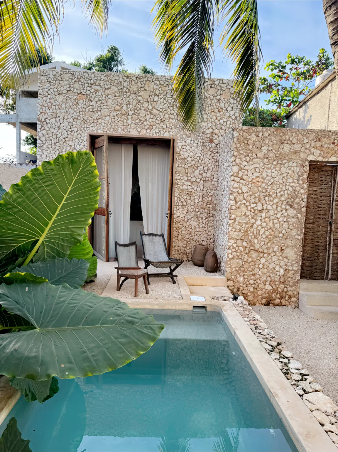 The plunge pool with big elephant-ear leaves, a stone wall and an open door with two chairs
