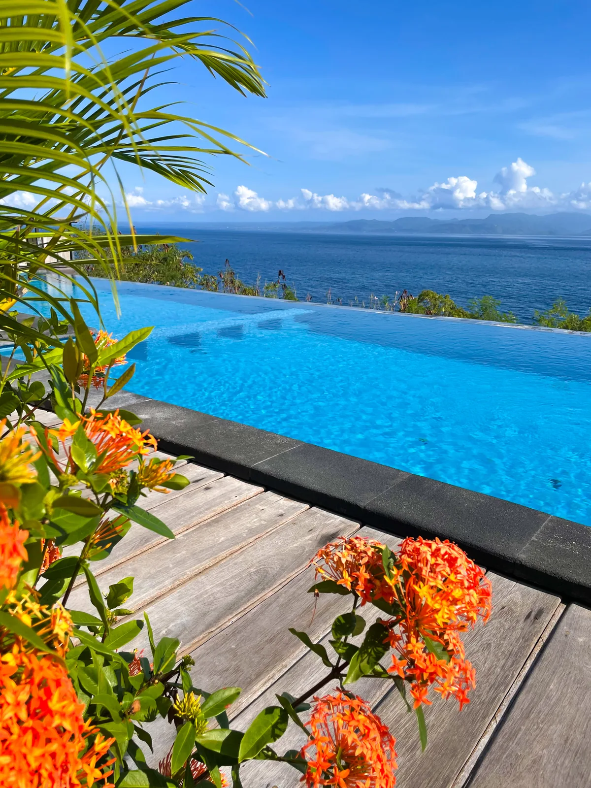 An infinity pool with orange ixora flowers, the sea behind it.