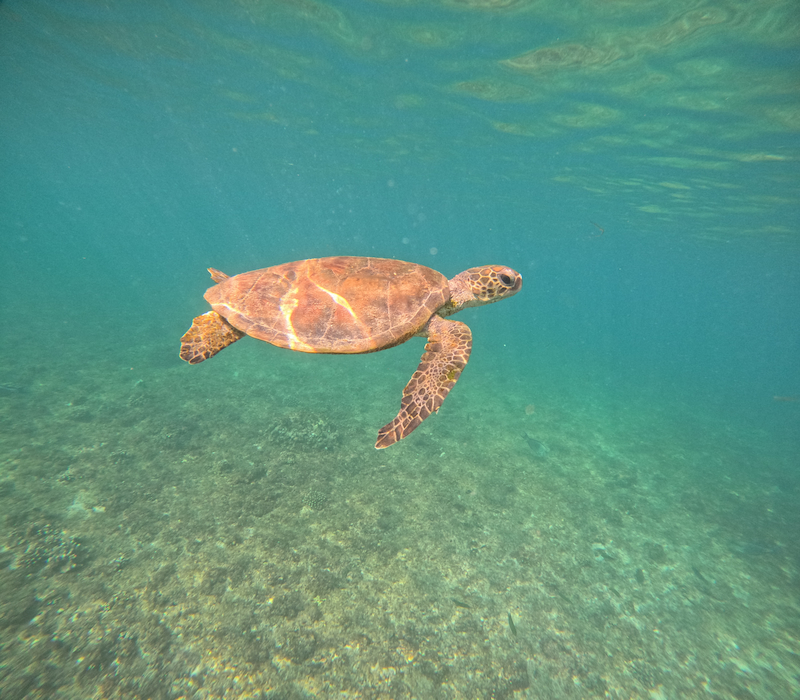 Daymaniyat Islands