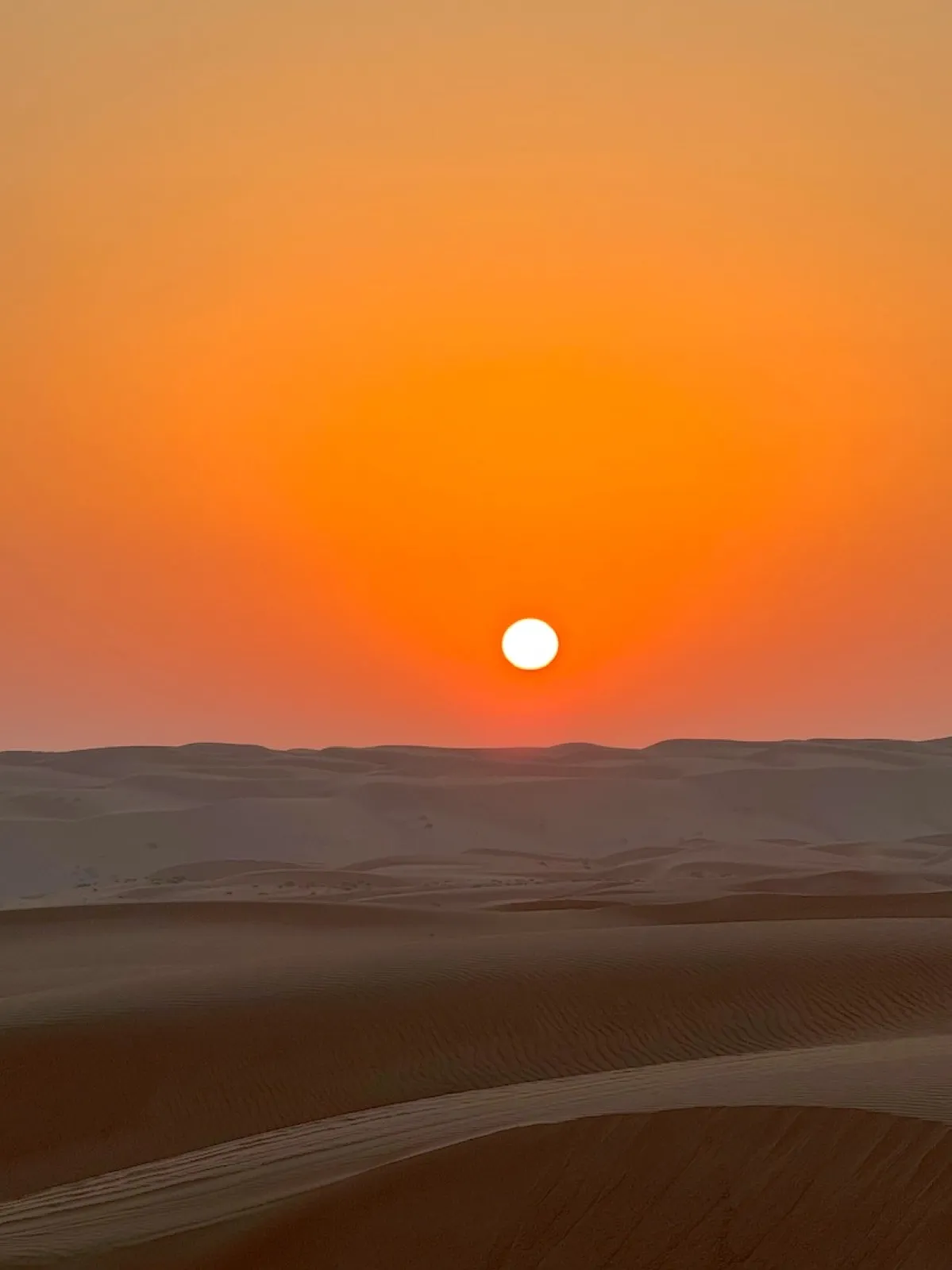 Wahiba Sands