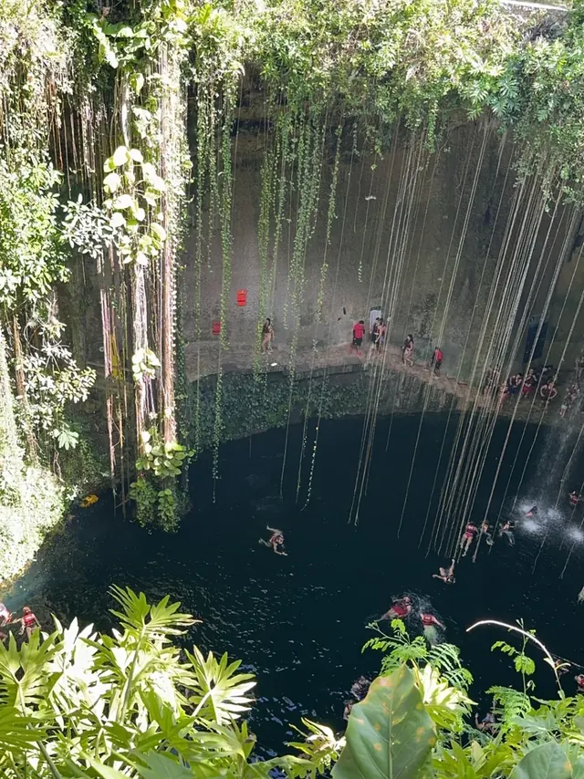 Looking down into the round Cenote Ik Kil, hanging vines above swimmers on the dark water