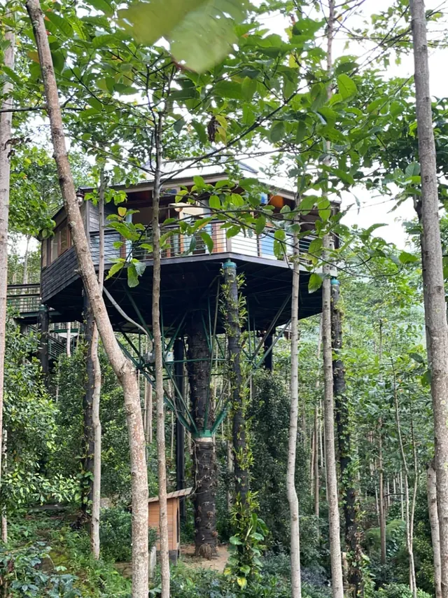 A wooden treehouse cabin on tall stilts among the trees at Munduk Heaven Luxury Villas